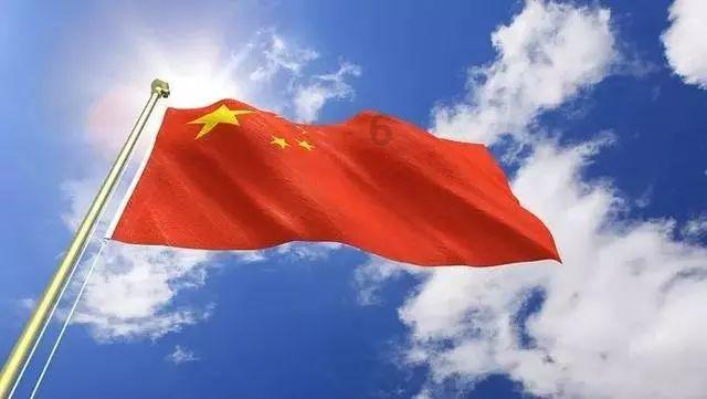 主人在泳池游泳，狗狗们兴奋不已，二哈来了个另类表演
